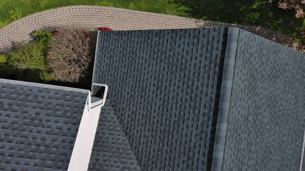 Best Roof Coating and Sealing  in Moorefield, WV