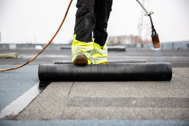 Best Asphalt Shingle Roofing  in Moorefield, WV