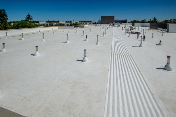 Best Roof Insulation Installation  in Moorefield, WV